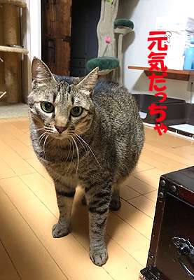 2-3-23-cのコピー.jpg