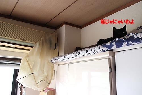 28-6-2-bのコピー.jpg