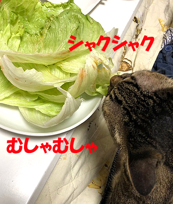 3-6-24-eのコピー.jpg