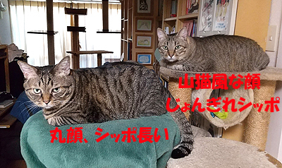 3-9-15-qのコピー.jpg