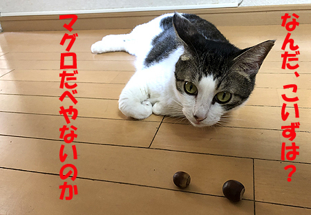 4-10-17-hのコピー.jpg