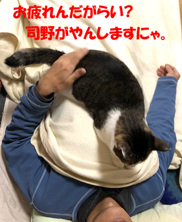4-11-21-aのコピー.jpg