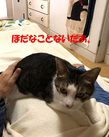 4-11-21-bのコピー.jpg