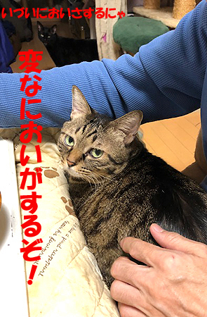 4-11-23-gのコピーのコピー.jpg