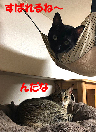 4-11-24-aのコピー.jpg