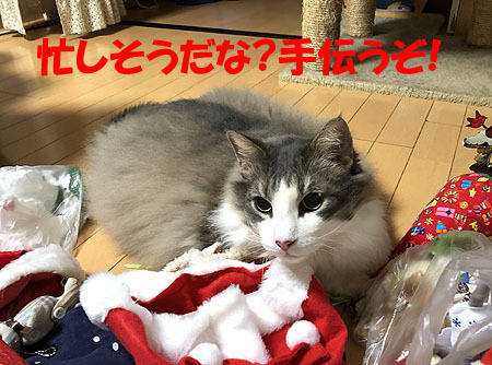 4-11-25-aのコピー.jpg