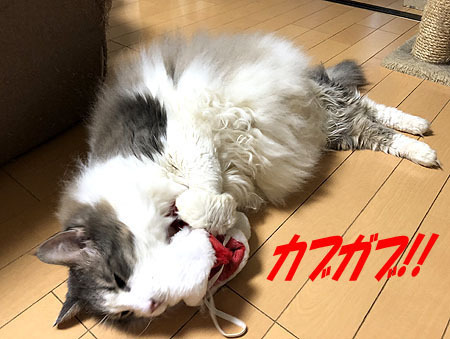 4-11-25-bのコピー.jpg