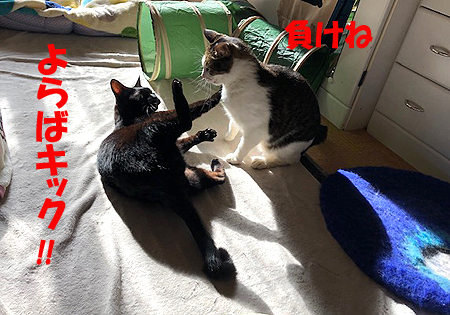 4-12-22-bのコピー.jpg