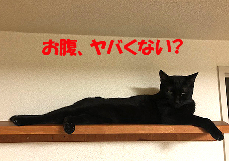 4-8-2-aのコピー.jpg