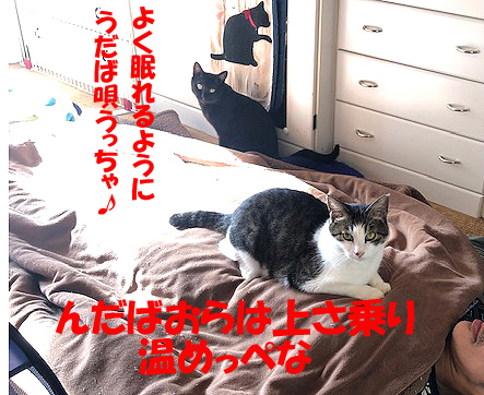 5-1-23-aのコピーのコピー.jpg