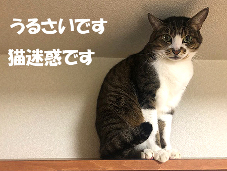 5-1-24-aのコピー.jpg