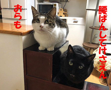 5-2-10-cのコピー.jpg
