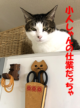5-2-9-bのコピー.jpg