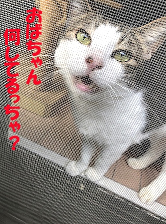 5-4-17-aのコピー.jpg