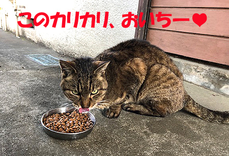 5-4-28-cのコピー.jpg