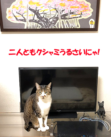 5-4-5-aのコピー.jpg