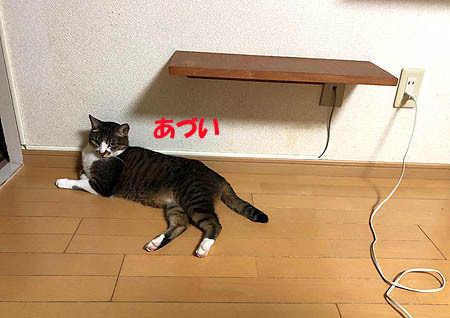 5-6-29-aのコピー.jpg
