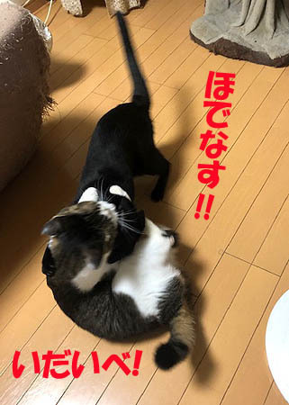 5-6-30-aのコピー.jpg