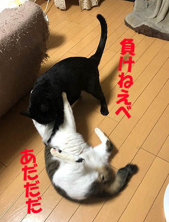 5-6-30-bのコピー.jpg