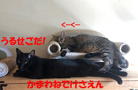 5-8-5-bのコピーのコピー.jpg