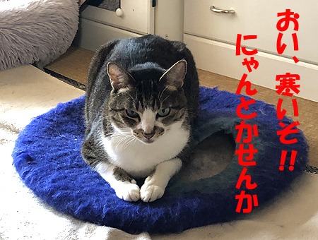 6-10-11-aのコピー.jpg