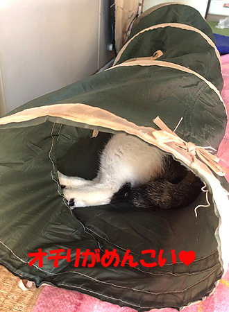 6-10-31-bのコピー.jpg