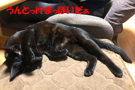 6-11-11-aのコピー.jpg