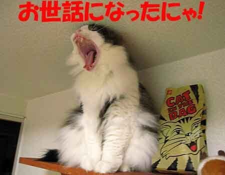 6-12-4-cのコピー.jpg