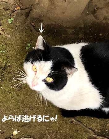 6-2-19-cのコピー.jpg
