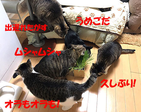6-4-10-aのコピーのコピー.jpg