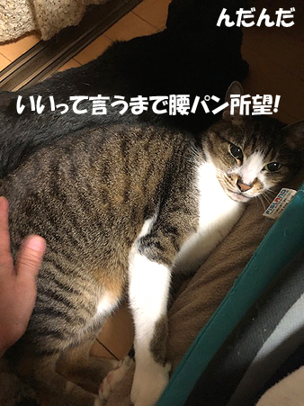 6-5-18-aのコピー.jpg