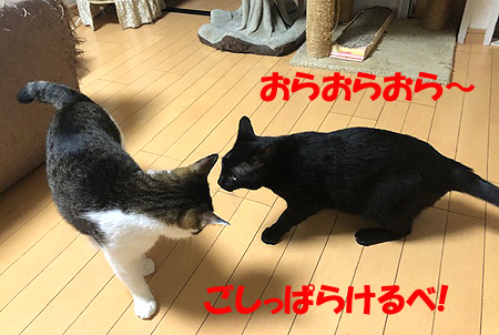 6-5-22-aのコピー.jpg