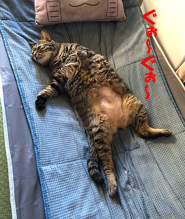 6-5-24-aのコピー.jpg