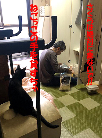 6-5-27-aのコピーのコピー.jpg