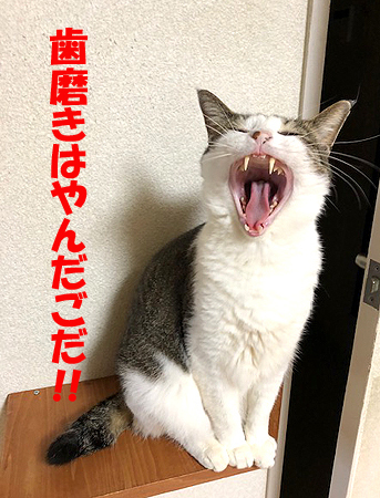 6-5-29-aのコピー.jpg