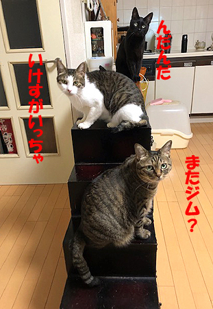6-5-30-fのコピー.jpg