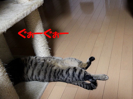 6-6-13-aのコピー.jpg