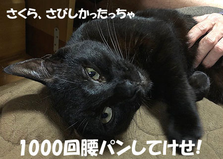 6-6-2-aのコピーのコピー.jpg