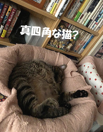 6-6-21-cのコピー.jpg