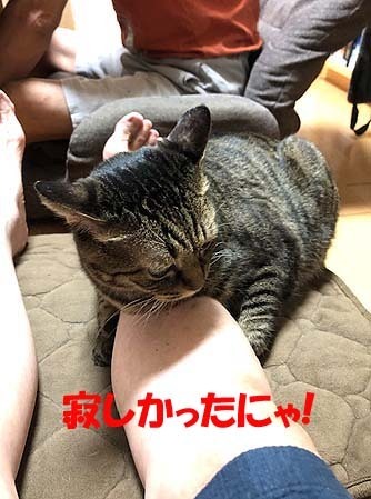 6-8-14-dのコピー.jpg
