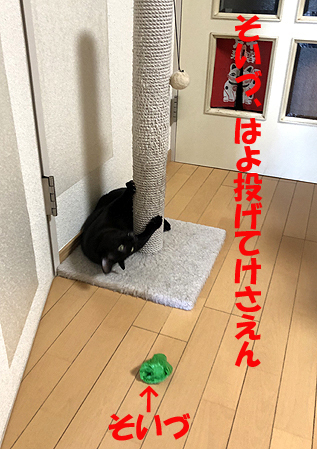 6-9-22-aのコピー.jpg