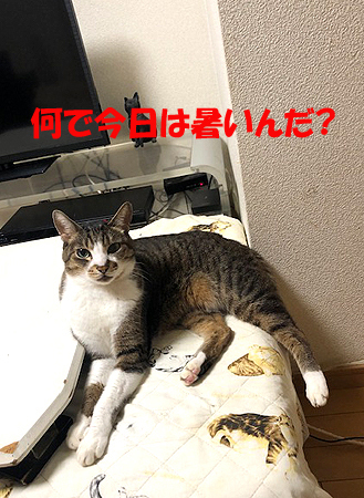 6-9-26-aのコピー.jpg
