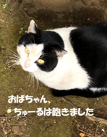 6-9-26-gのコピー.jpg