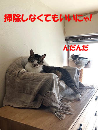 6-9-5-bのコピーのコピー.jpg