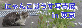 E38390E3838AE383BCL-thumbnail2.jpg